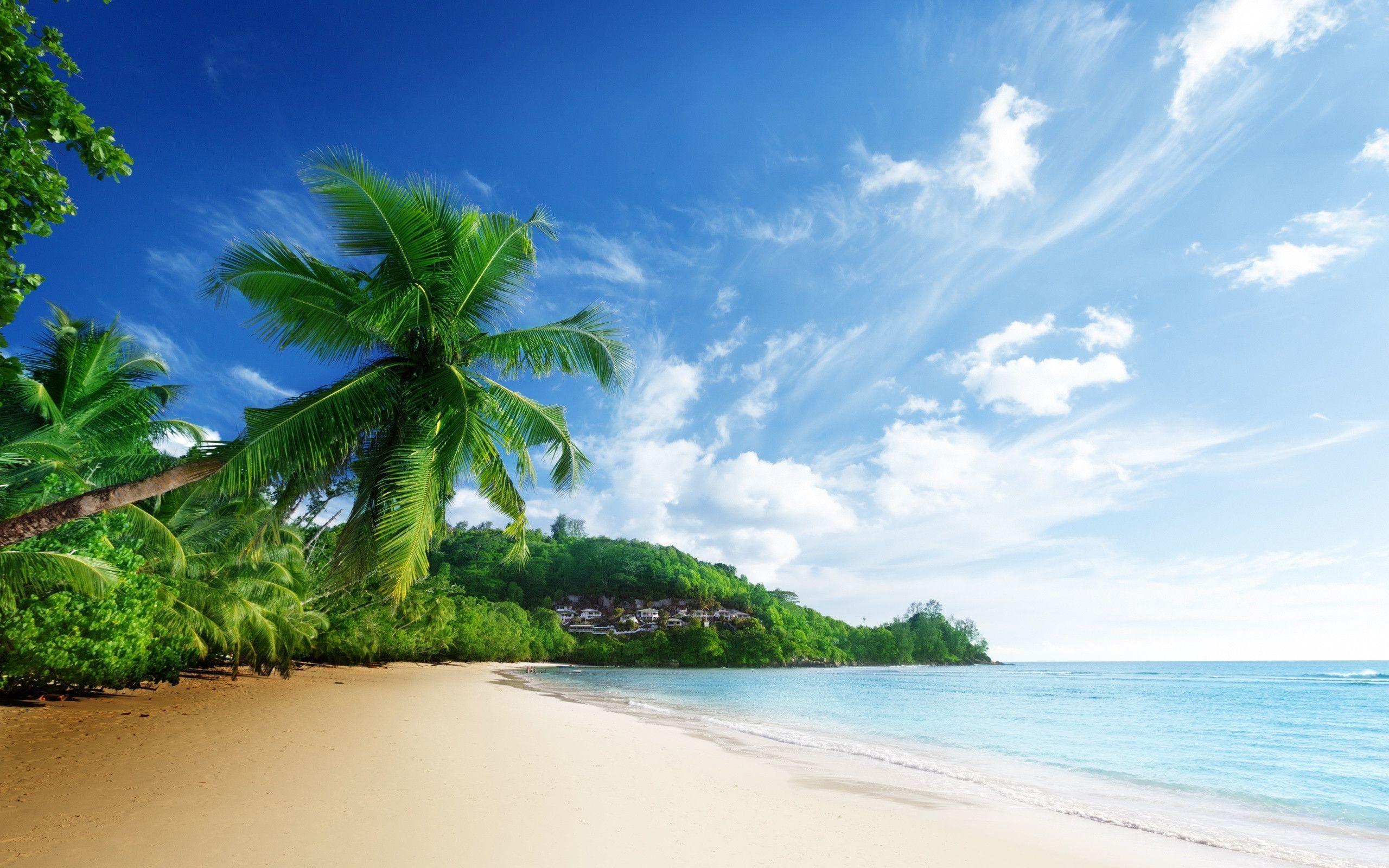 2560 x 1600 · jpeg - Tropical Beach Pictures Wallpapers - Wallpaper Cave