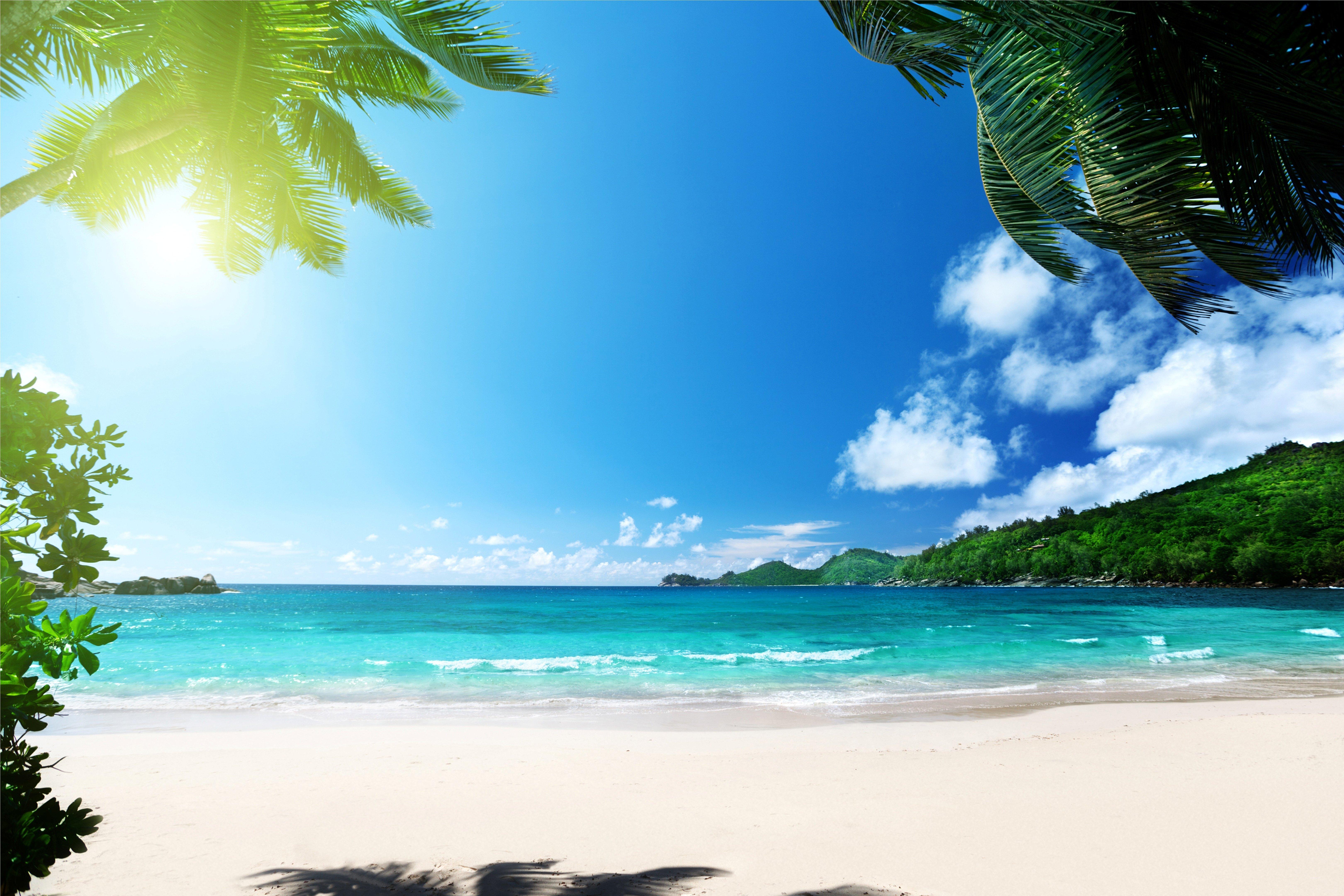 6480 x 4320 · jpeg - Tropical Beach Wallpapers, Pictures, Images