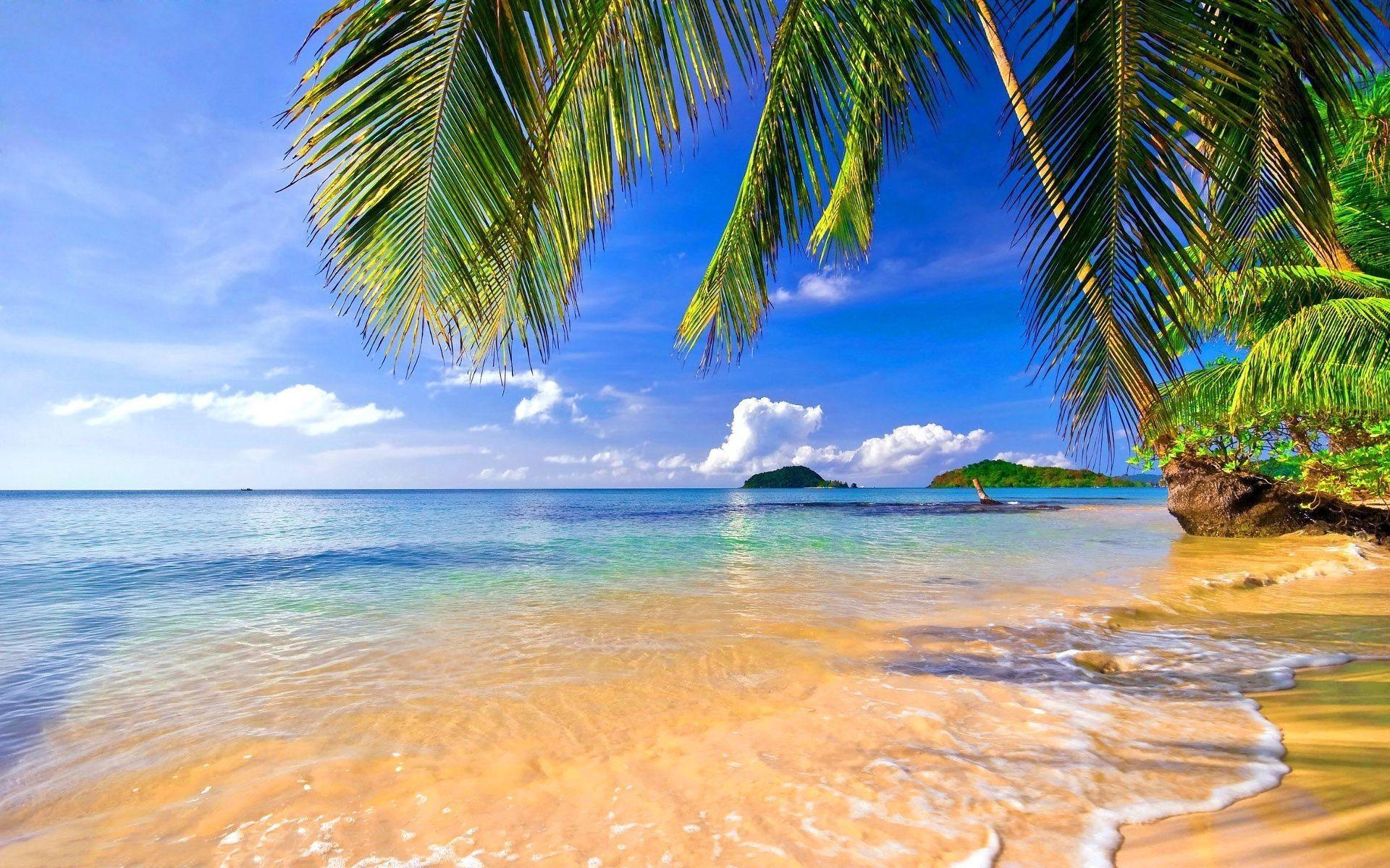 1920 x 1200 · jpeg - Tropical Wallpapers (69+ pictures)