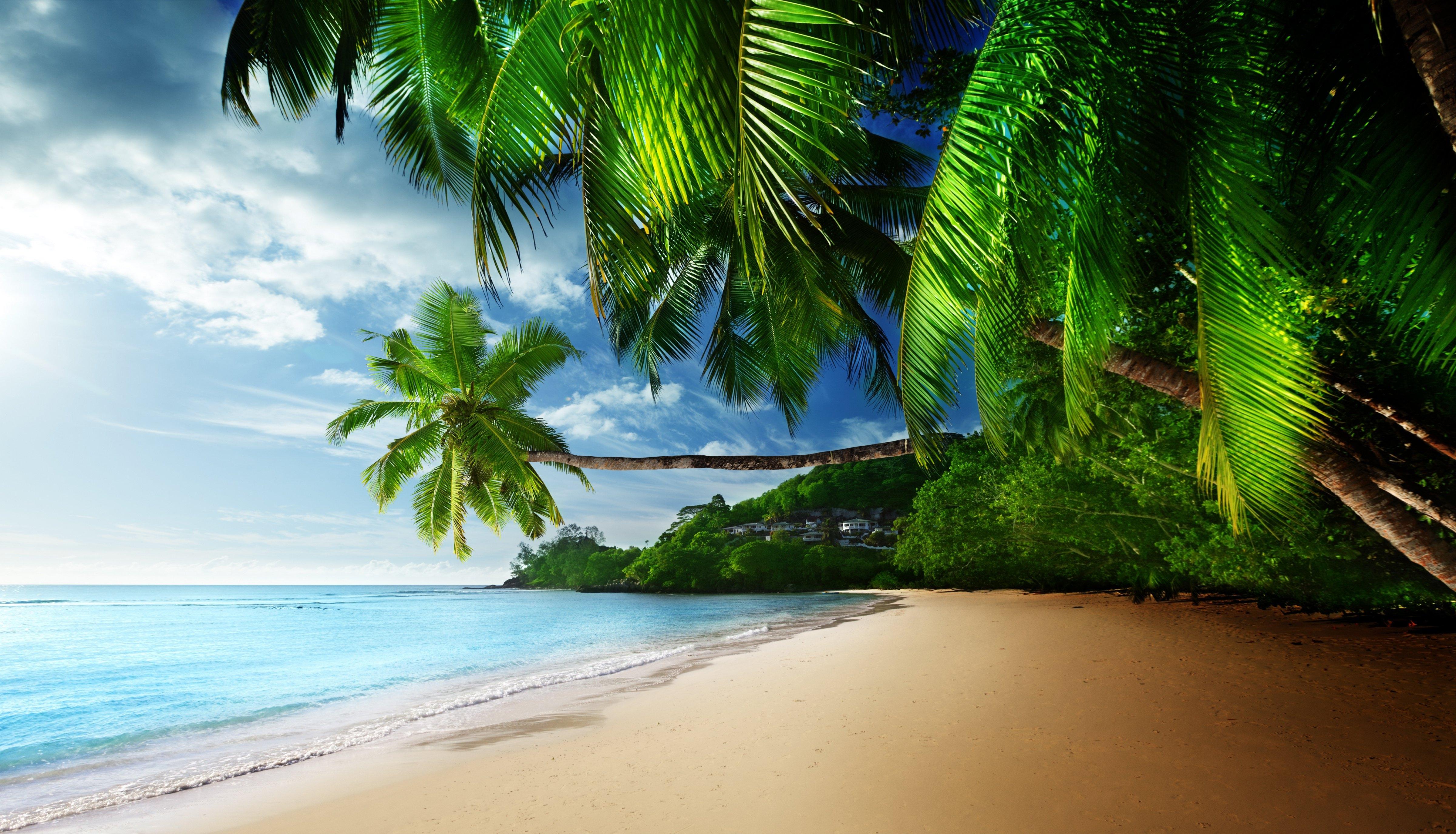 4800 x 2751 · jpeg - Tropical Paradise Coast Wallpapers HD / Desktop and Mobile Backgrounds