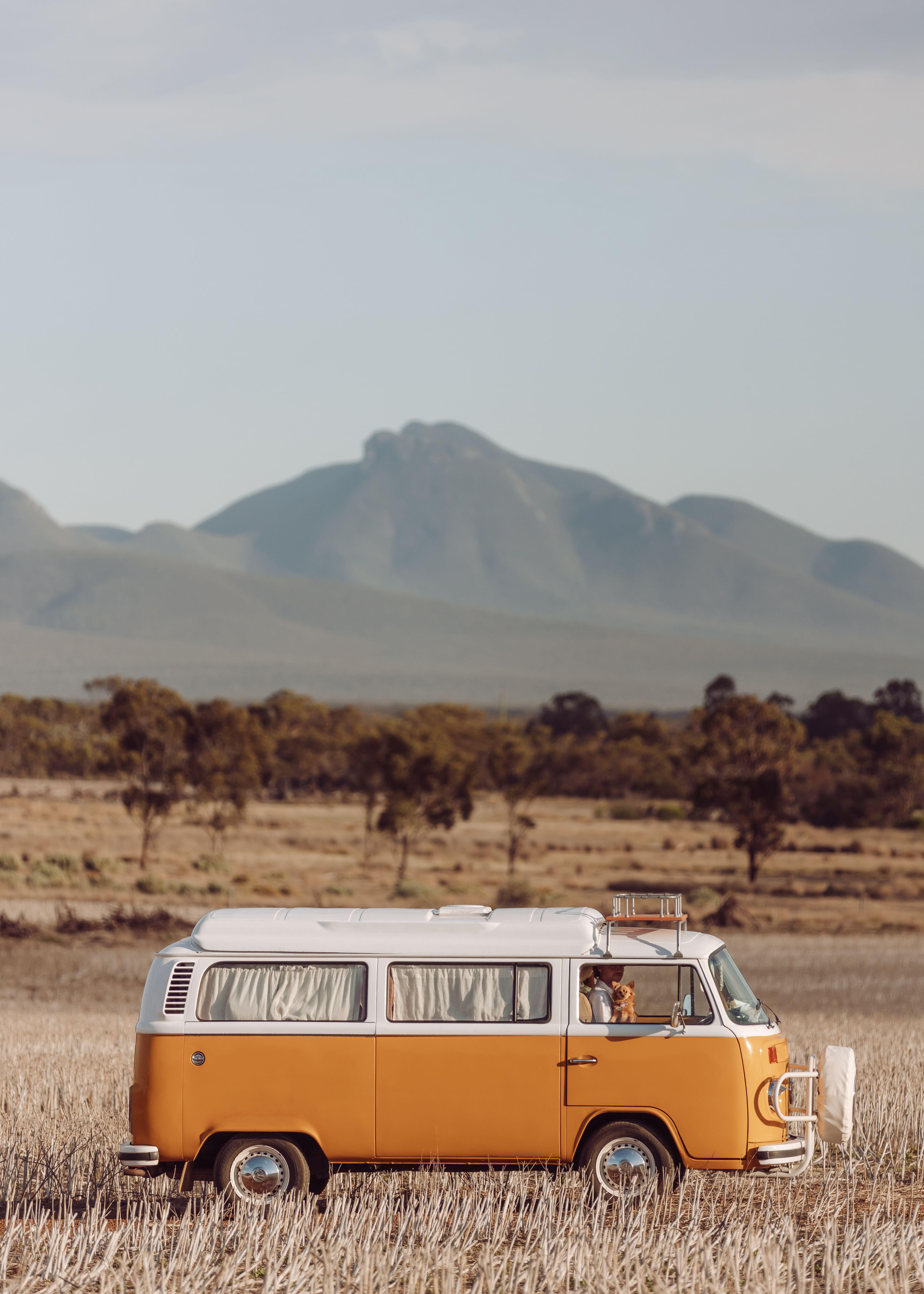 4338 x 6073 · jpeg - VW Kombi having a field day in 2020 | Van life, Adventure photography ...