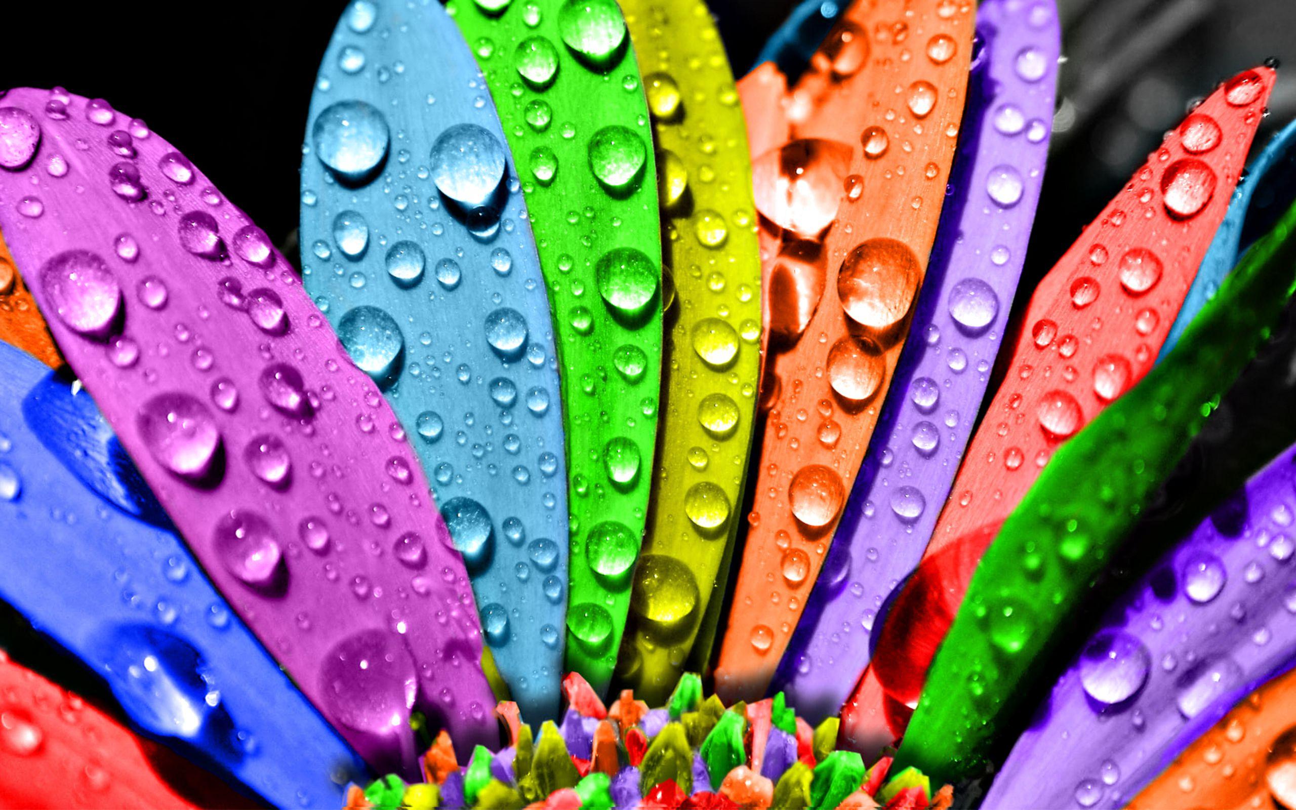 2560 x 1600 · jpeg - Colorful Wallpapers | Best Wallpapers