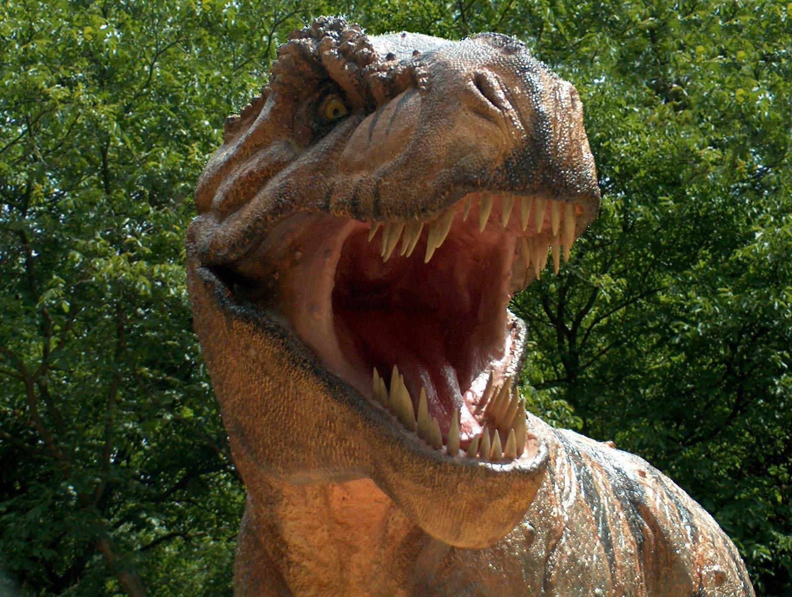 1600 x 1206 · jpeg - Dinosaur Amazing HD Pictures, Wallpapers In High Resolution.. - All HD ...