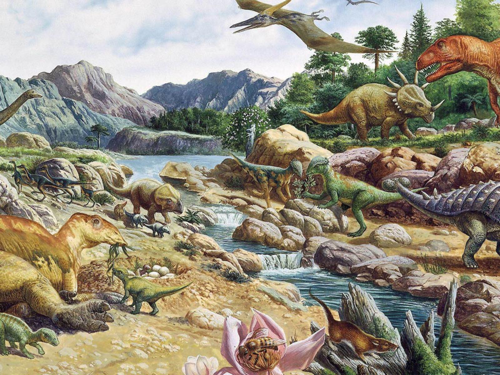 1600 x 1200 · jpeg - Dinosaurs Wallpapers - Wallpaper Cave