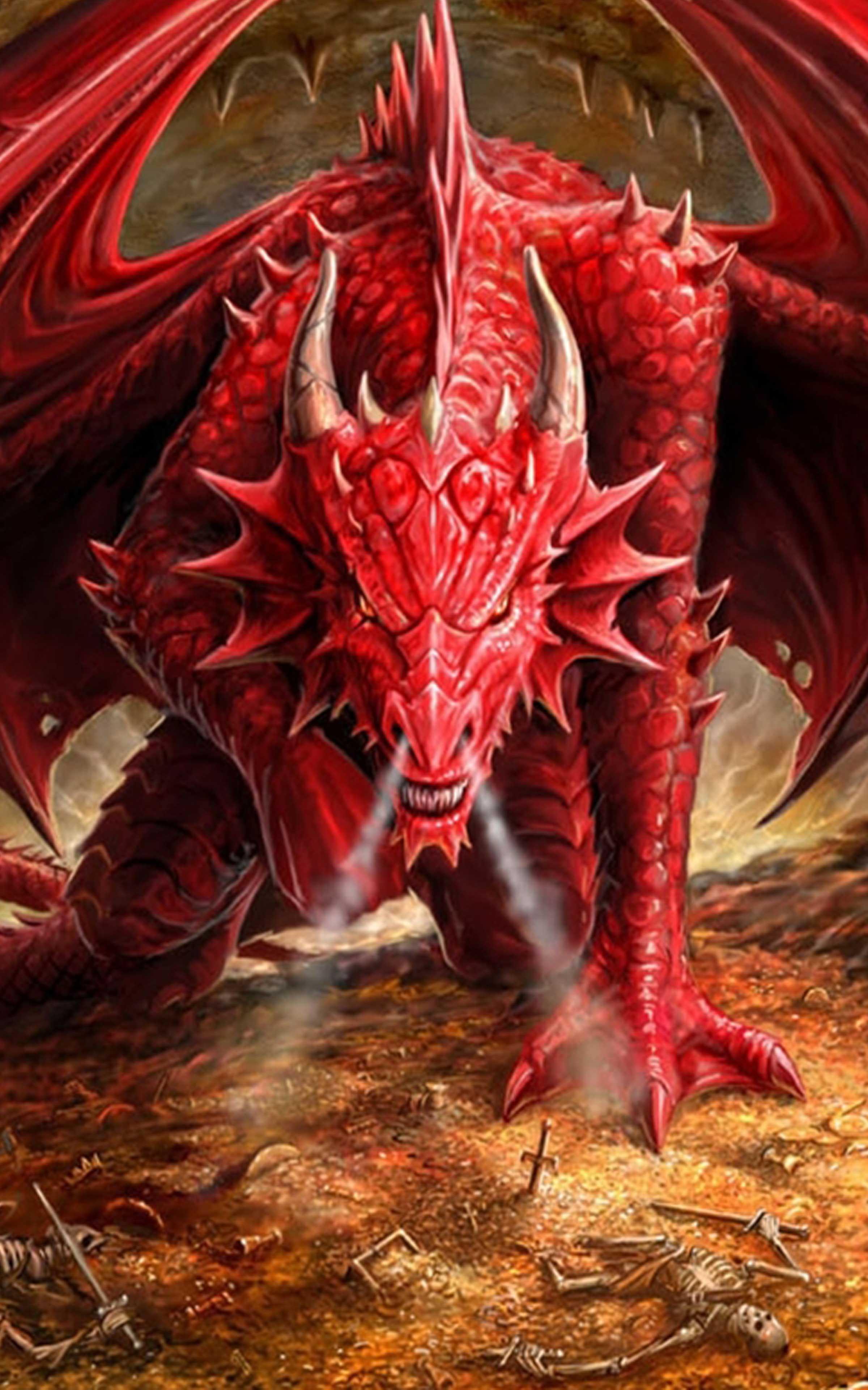 2400 x 3840 · jpeg - Dragon Wallpaper - Best Cool Dragon Wallpapers for Android - APK Download