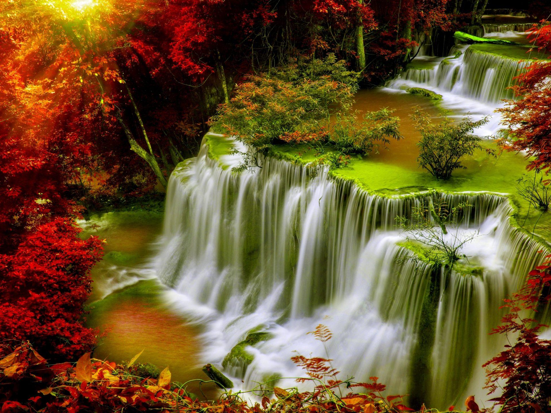 1920 x 1440 · jpeg - Cascade Falls-Autumn-forest-red leaves-sunlight-Desktop HD Wallpaper ...