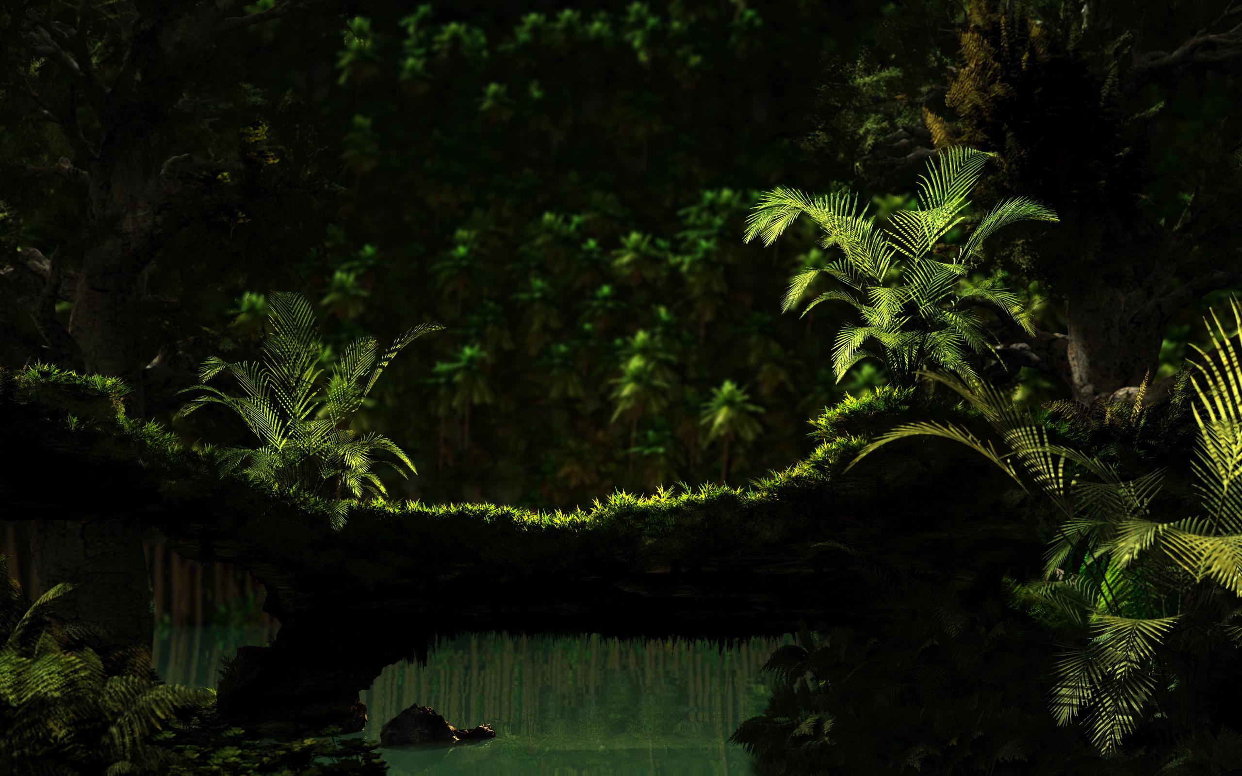 2560 x 1600 · jpeg - Download Jungle HD Backgrounds Free | PixelsTalk