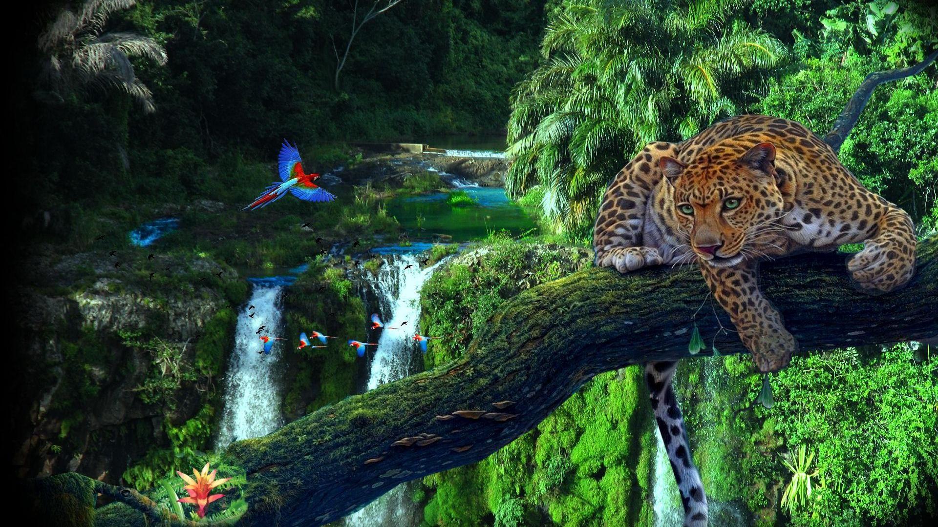 1920 x 1080 · jpeg - HD Jungle Desktop Backgrounds | PixelsTalk