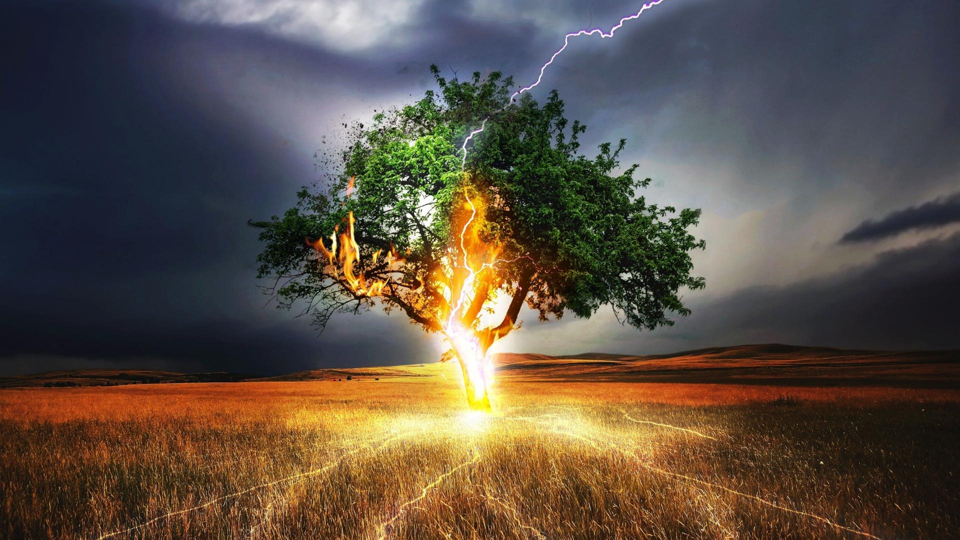 1920 x 1080 · jpeg - Download 1920x1080 wallpaper lightning, flash, tree, landscape, storm ...