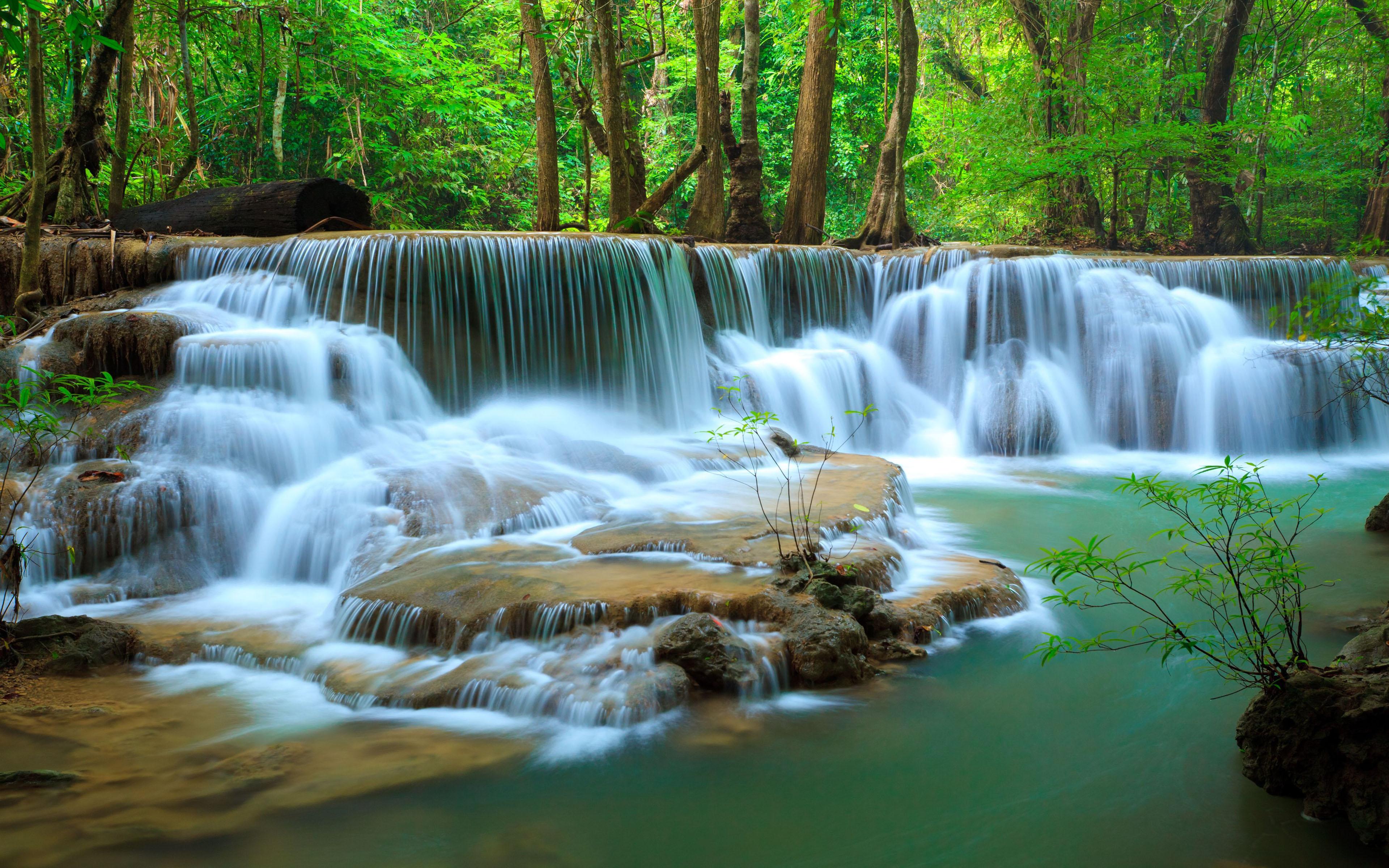 3840 x 2400 · jpeg - Deep In Jungle Forest Waterfall Kanchanaburi Thailand Photo Wallpaper ...