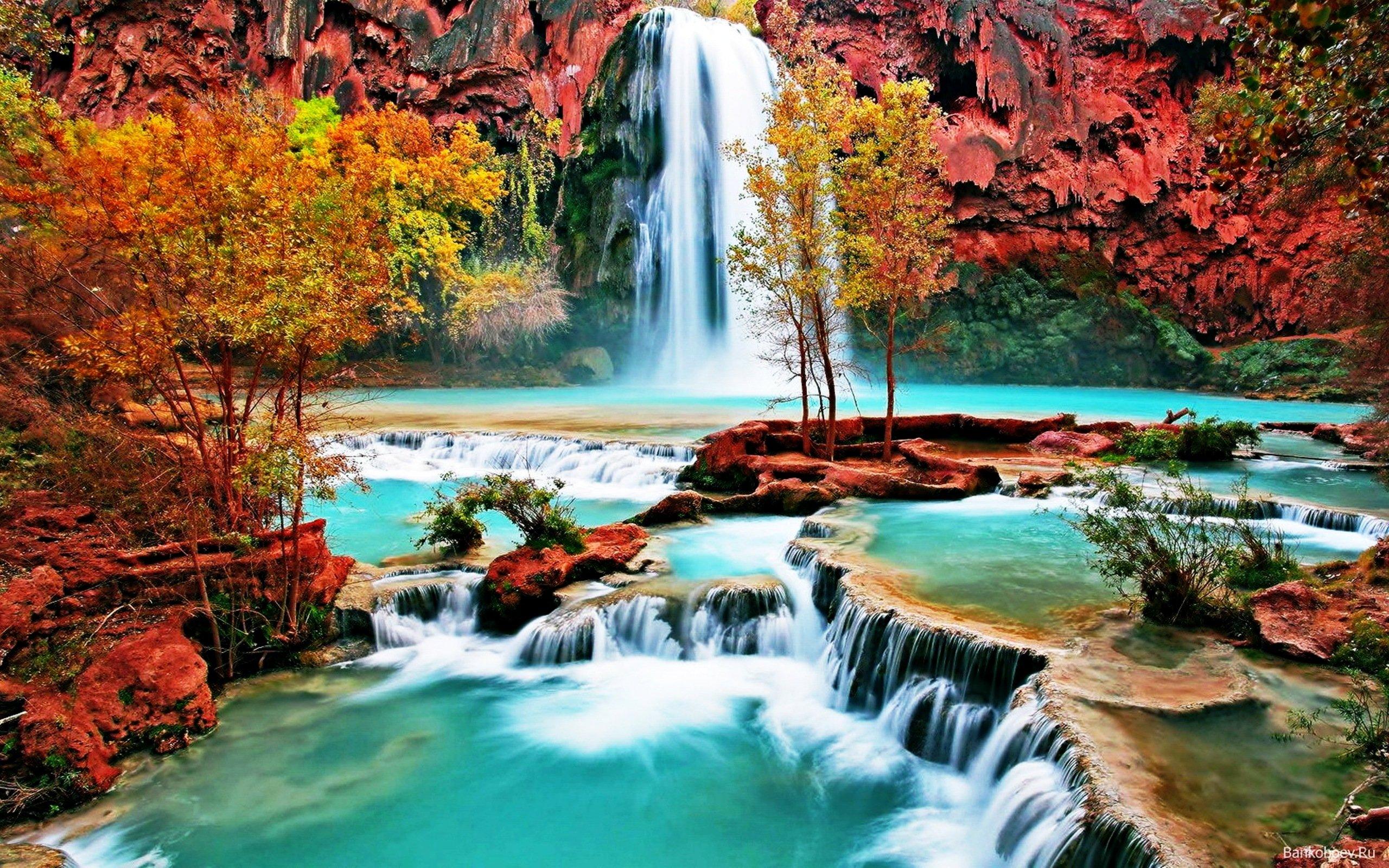 2560 x 1600 · jpeg - , Beautiful, Nature, Forest, House, Autumn, Amazing, Beauty, Waterfall ...