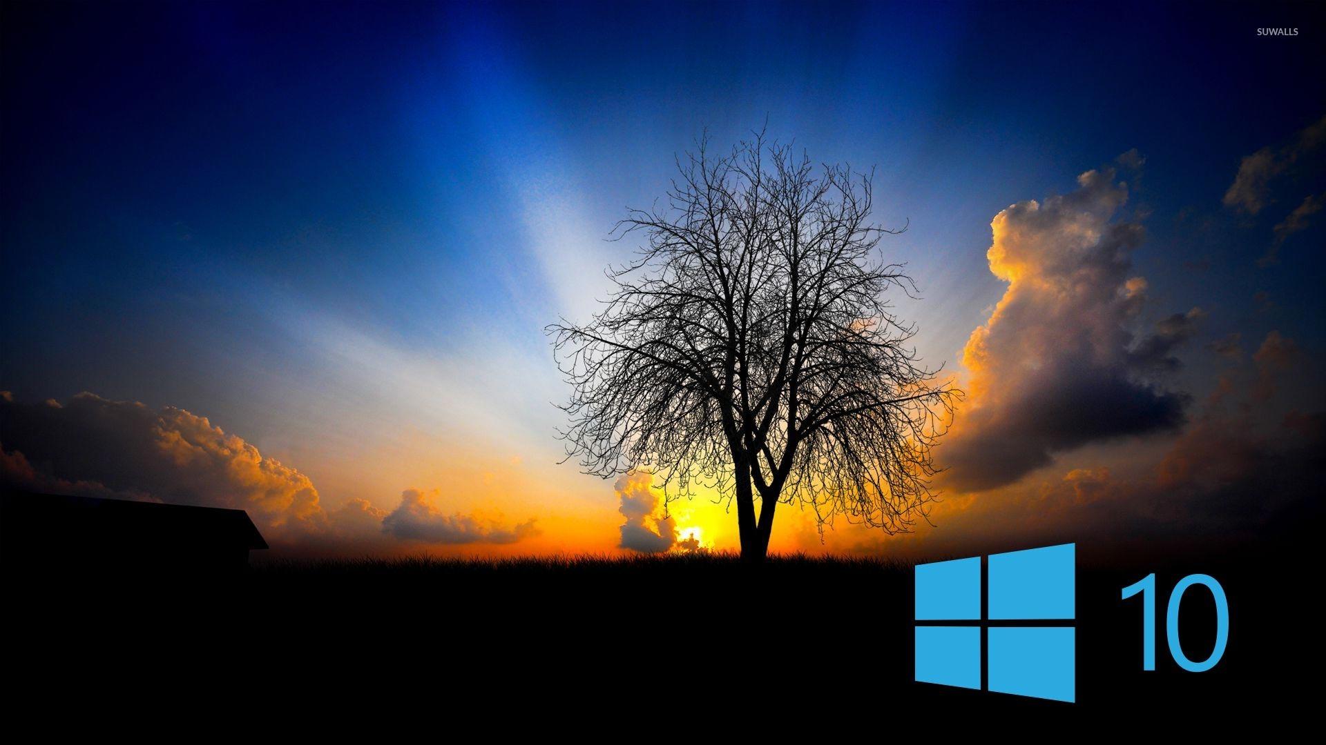 1920 x 1080 · jpeg - 400+ Stunning Windows 10 Wallpapers HD Image Collection (2017)
