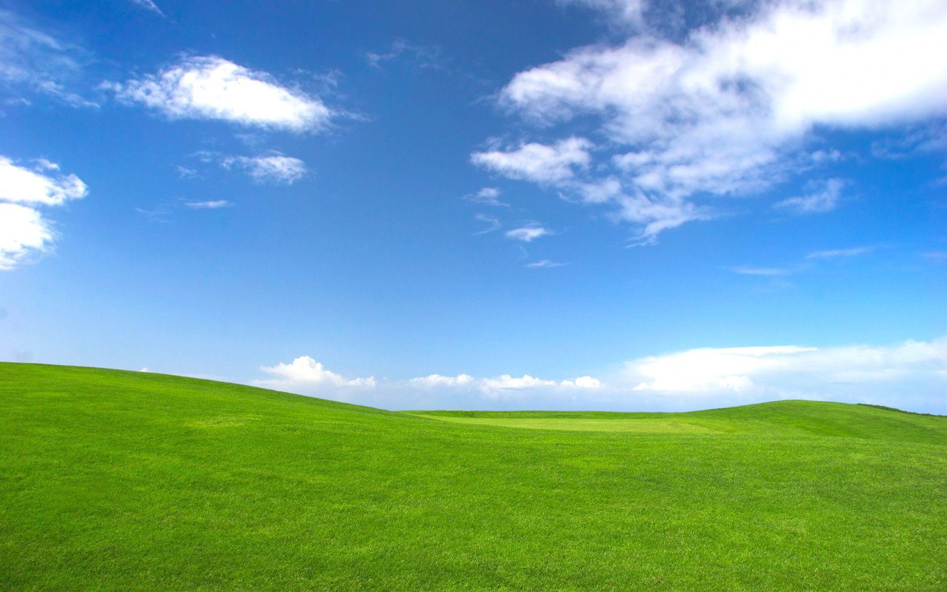 1920 x 1200 · jpeg - Windows XP Wallpapers Bliss Wallpaper 4K | Grass wallpaper, Desktop ...