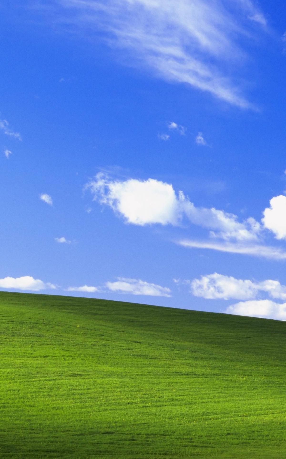 1200 x 1920 · jpeg - Free download The Windows XP wallpaper at 4K resolution pcmasterrace ...