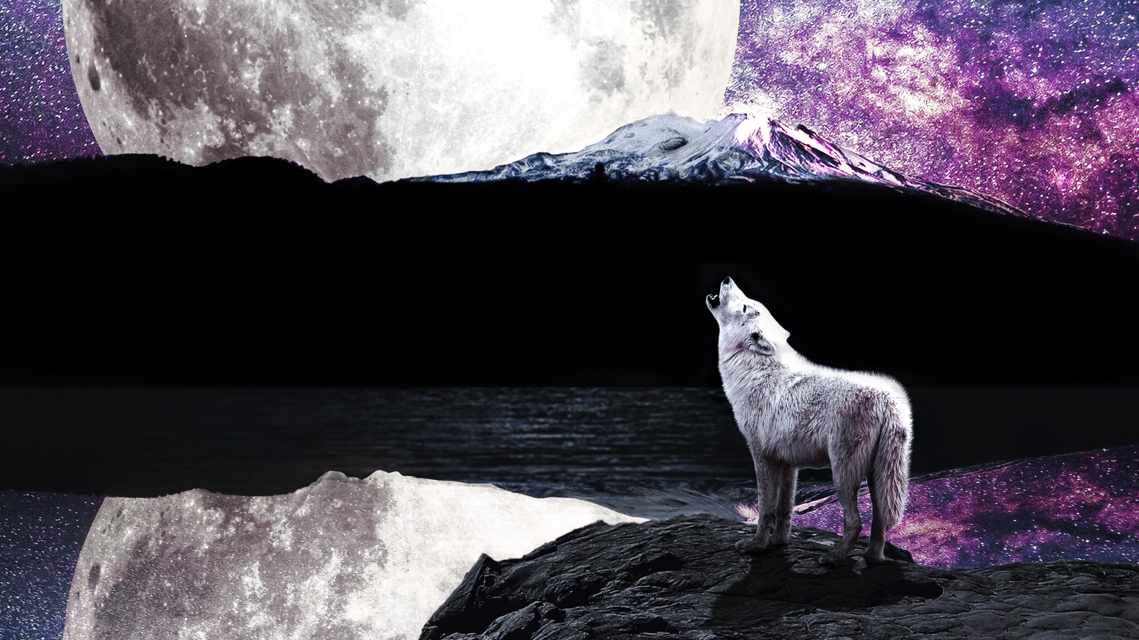 3840 x 2160 · jpeg - 3840x2160 Wolf Moon River 4k HD 4k Wallpapers, Images, Backgrounds ...