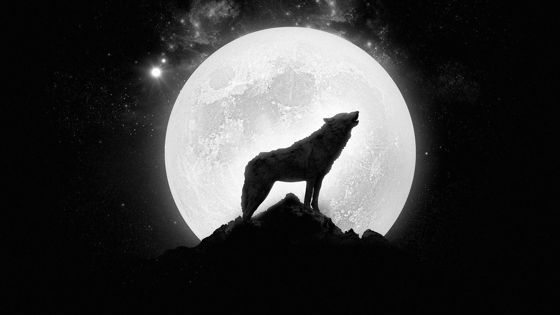 1920 x 1080 · jpeg - Wolf Howling at The Moon Wallpaper 1 WallpaperTag