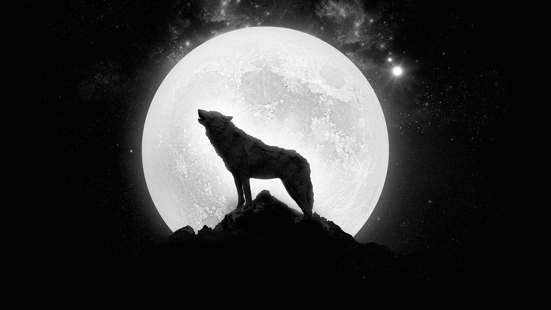 1920 x 1080 · jpeg - 10 Latest Wolf And Moon Wallpaper FULL HD 1080p For PC Desktop 2021