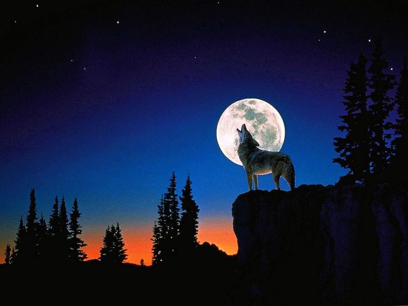 1574 x 1180 · jpeg - Wolf In Moonlight Wallpapers - Wolf-Wallpapers.pro