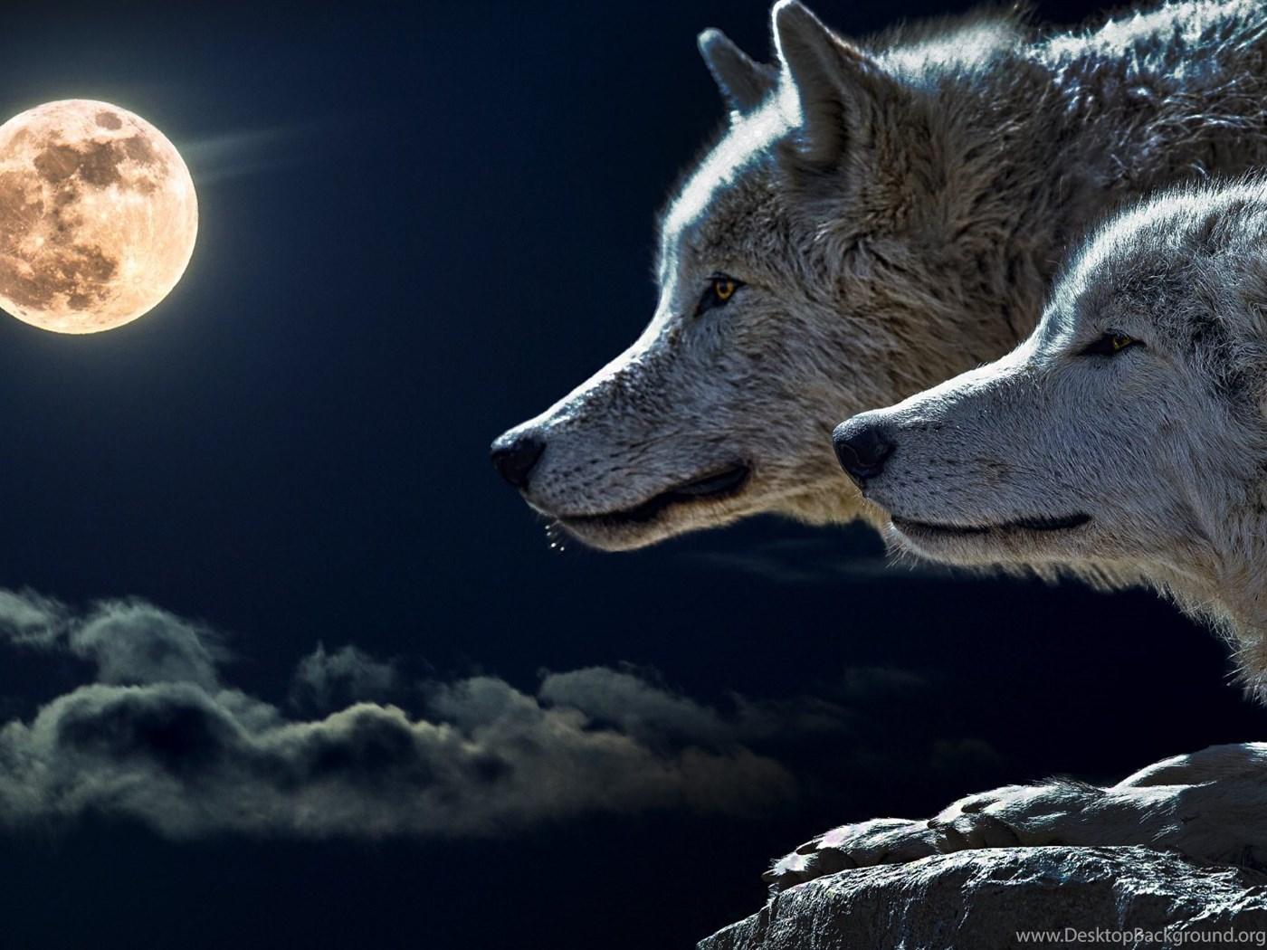 1400 x 1050 · jpeg - Wolves And Full Moon HD Wallpapers. 4K Wallpapers Desktop Background