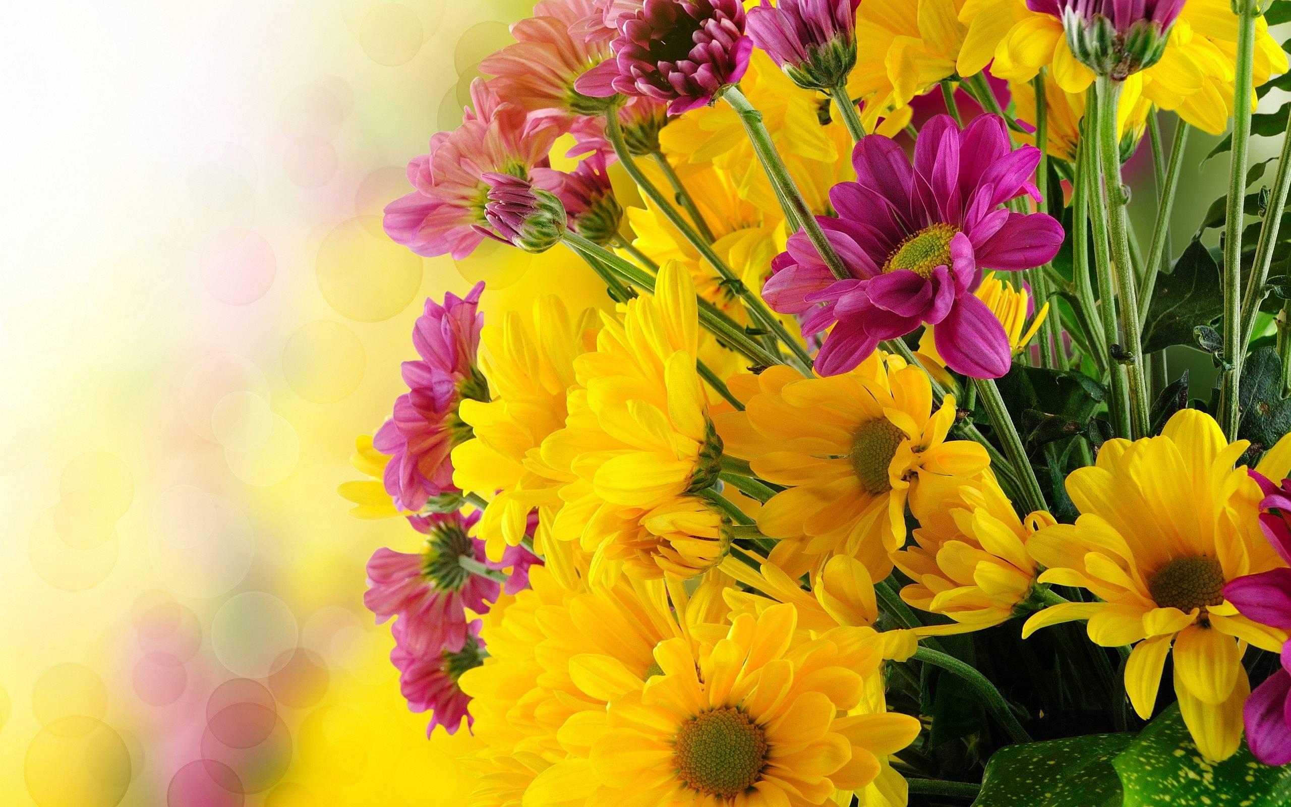 2560 x 1600 · jpeg - Yellow Flowers Wallpapers - Wallpaper Cave
