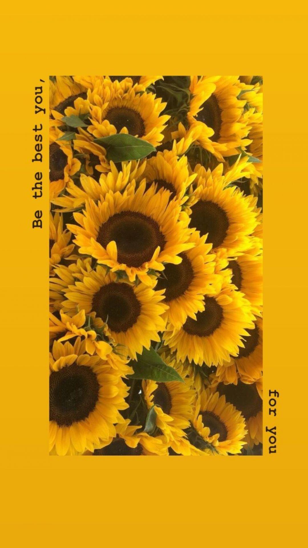 1080 x 1921 · jpeg - Yellow Aesthetic Sunflowers Hd Wallpapers (1080p, 4k) - Aesthetic ...