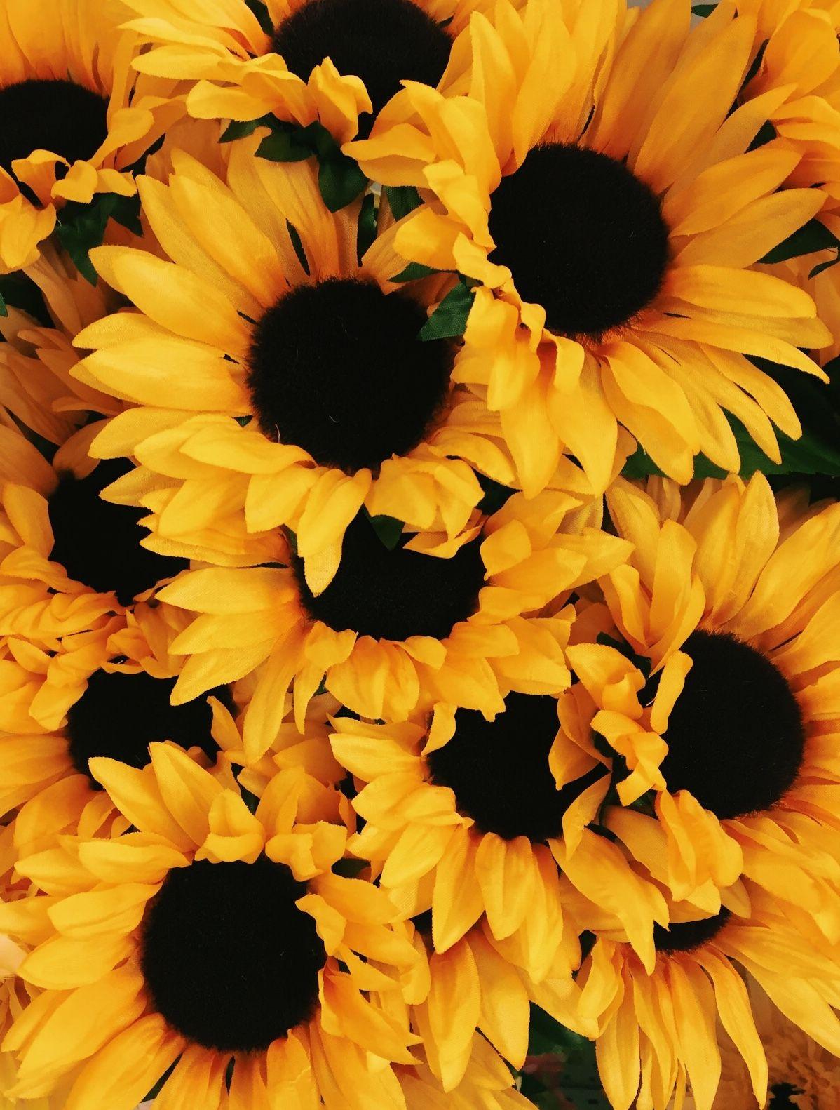 1198 x 1582 · jpeg - Yellow Aesthetic Sunflowers Wallpapers - Top Free Yellow Aesthetic ...