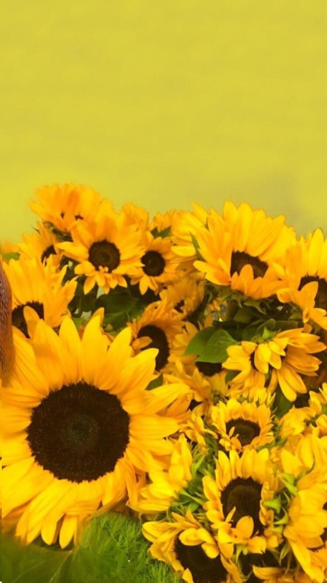 1080 x 1923 · jpeg - [50+] Yellow Aesthetic Sunflowers HD Wallpapers (Desktop Background ...