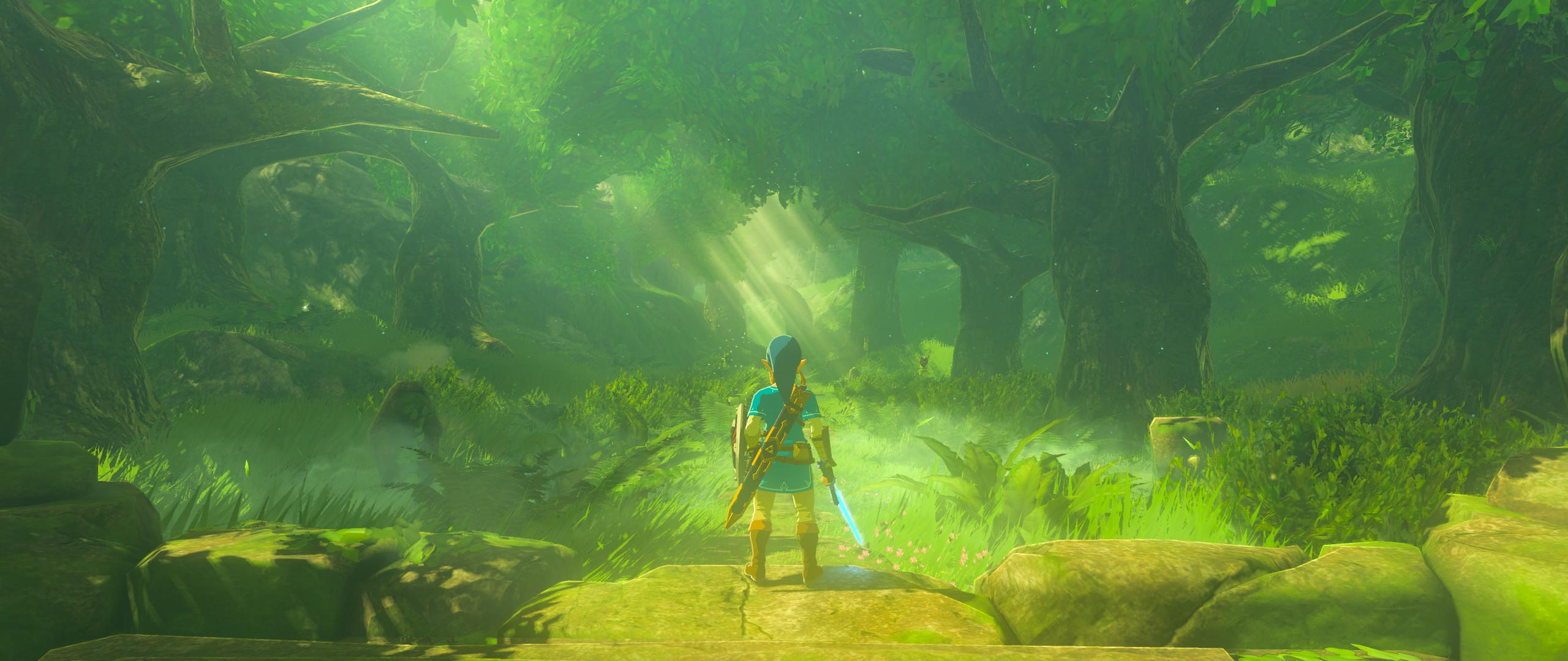 2560 x 1080 · png - The Legend of Zelda: Breath of the Wild at 5K 21:9 : pcmasterrace